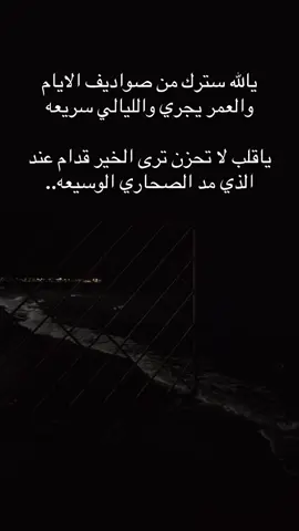 #عبارات #اقتباسات #حب #شعر 