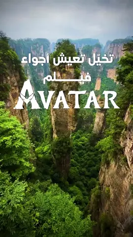 تخيل تعيش اجواء فلم افتار #سفر #سياحة #رحلات_سياحية #سفر_وسياحة #سفر_حول_العالم 