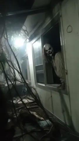 The nonsense level of our dreams 😄 . If you want to create videos like this, sign up through the link in my bio. For support, feel free to message me 👍🏼 . #horror 