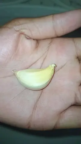 #foryoupage #foryou #fypシ゚ #fyppppppppppppppppppppppp #prezidan 