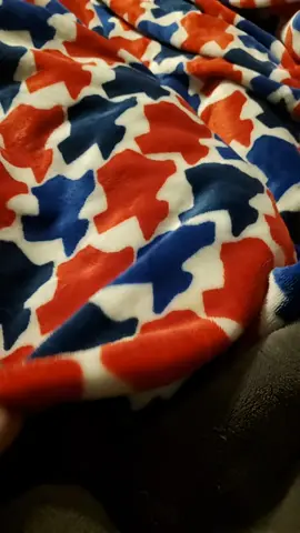 Kitty cat update, lol. Mommas still hangs around, but she's still very much feral. The kittens have come a long way and are so sweet and spoiled! 💖