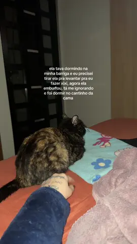 a birra da garota véi kkkkk #brava #gatos #catsoftiktok #pet #humor 