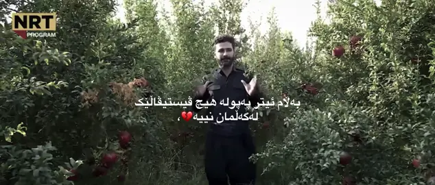 وەک پەپولە ئەڵی ئەگەر حەزتان لە هەنار کرد بێن سەرێک بدەن لەهەڵەبجە🌚.#i_h4anu #zhilh4an💍_ 
