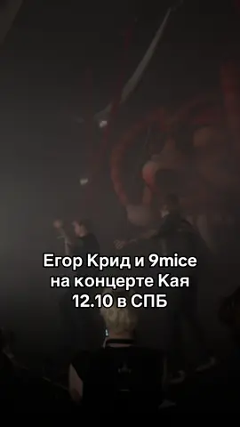 🧎🏼‍♀️‍➡️молюсь на эту троицу  @kai angel @9mice @egorkreed  #kaiangel #viperr #9mice #егоркрид 