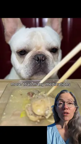 🥺💖#animallover #pets #usa #vet #dogfood 
