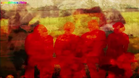 gostei desse trecho🍊 #shoegaze #targetaudience #fyp #bellaeoolmo #indierock 