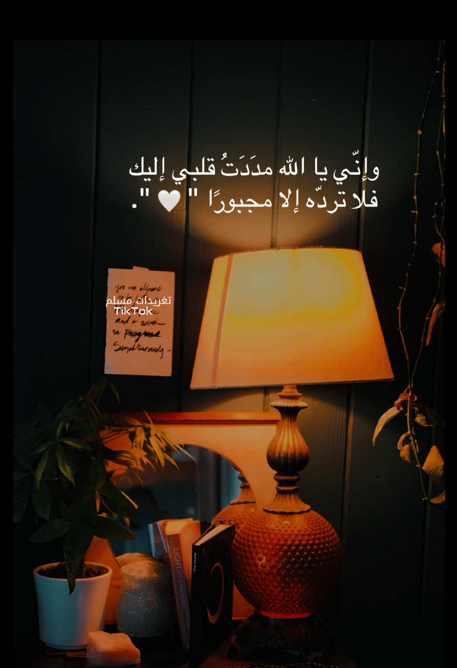 وإنّني يا الله مدَدَتُ قلبي إليك  فلا تردّه إلا مجبورًا 🤍🤍 #بلال_دربالي #قران_كريم #اكسبلور #fyp #عبارات 