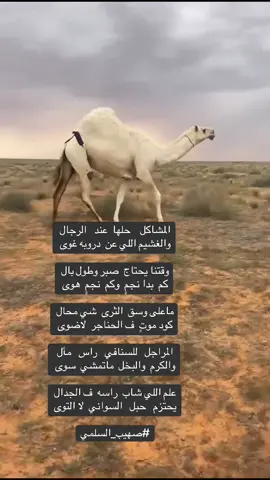 #شعراء_وذواقين_الشعر_الشعبي 