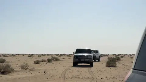 #مقناص #بر #العراق #قطر #الكويت 