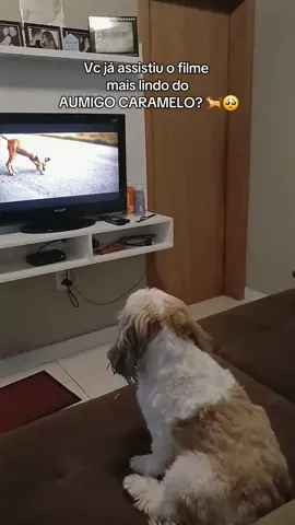Filme lindo do começo ao fim, muito emocionante 🥺🐕 #caramelo #filme #netflix #filmecaramelo 