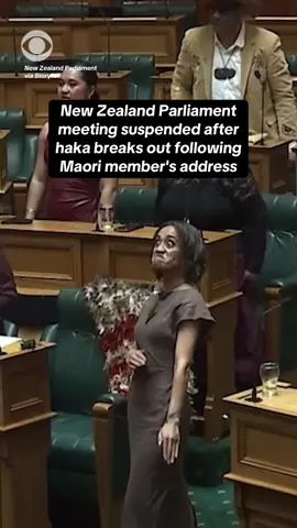 A haka broke out during a meeting of New Zealand’s Parliament this week after new member Oriini Kaipara finished her maiden statement – her first address to Parliament. People in the galley joined in on the haka, which is a traditional Maori dance. MP Kaipara is a member of the country's Maori party, Te Pati Maori. Footage shows Speaker Gerry Brownlee interrupting before suspending the sitting. #haka #newzealand #maori 