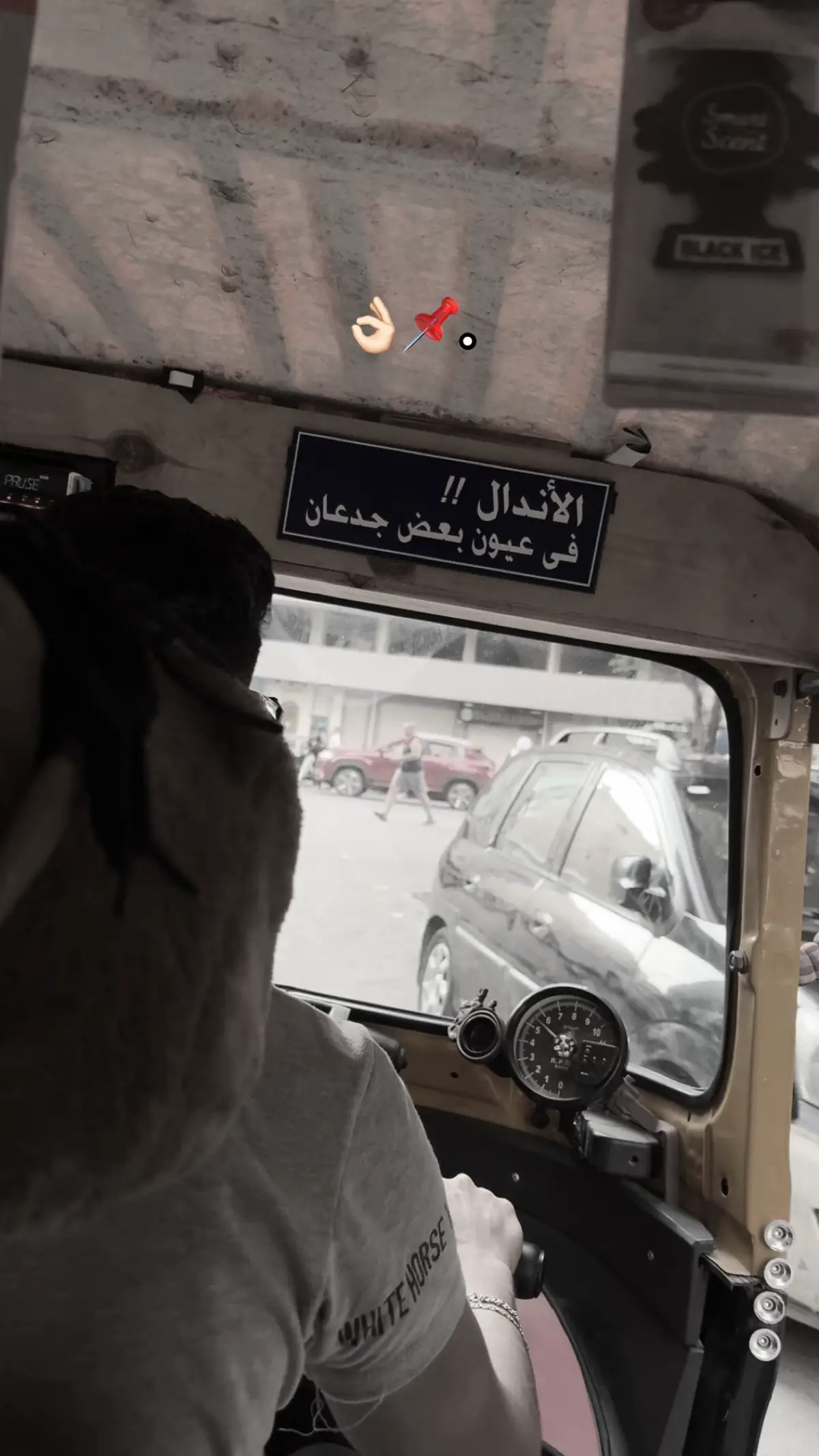 #alexandria 