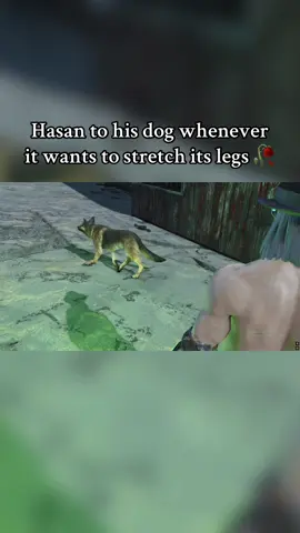 Poor dog. #hasan #dog #fallout4 #meme #fyp 