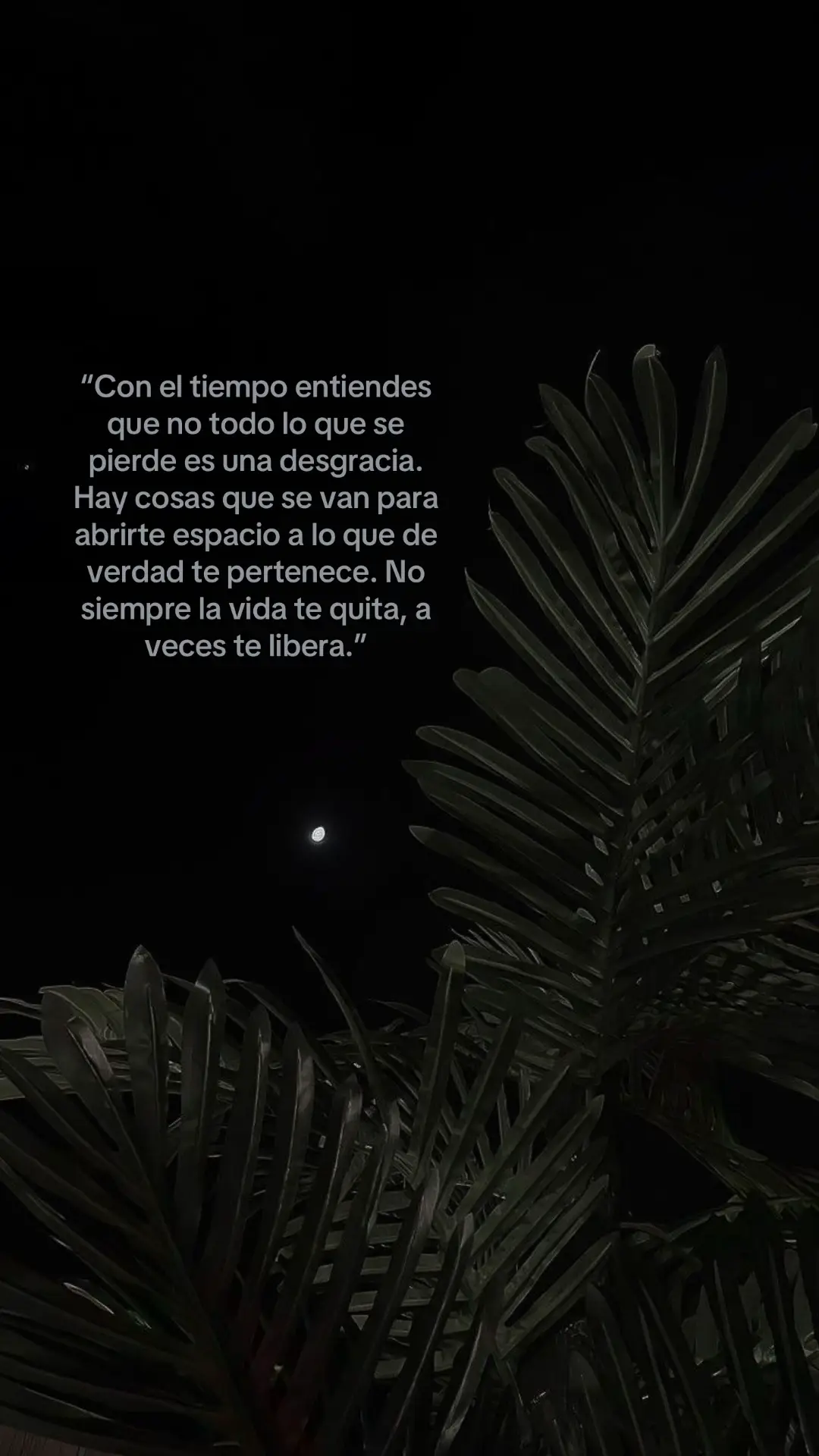 #paratii #videoviral 