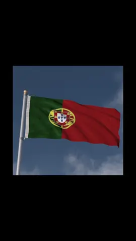 البرتغال 🇵🇹🔥 - يا منتخب تشجعون بالكاس العالم؟ #cristianoronaldo #fyp #المهاجرين #اوروبا #🇪🇺 
