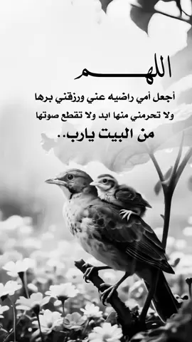 #fyp #explore #تصميم_فيديوهات🎶🎤🎬 #عبارات_دينية #اعادة_النشر🔃 