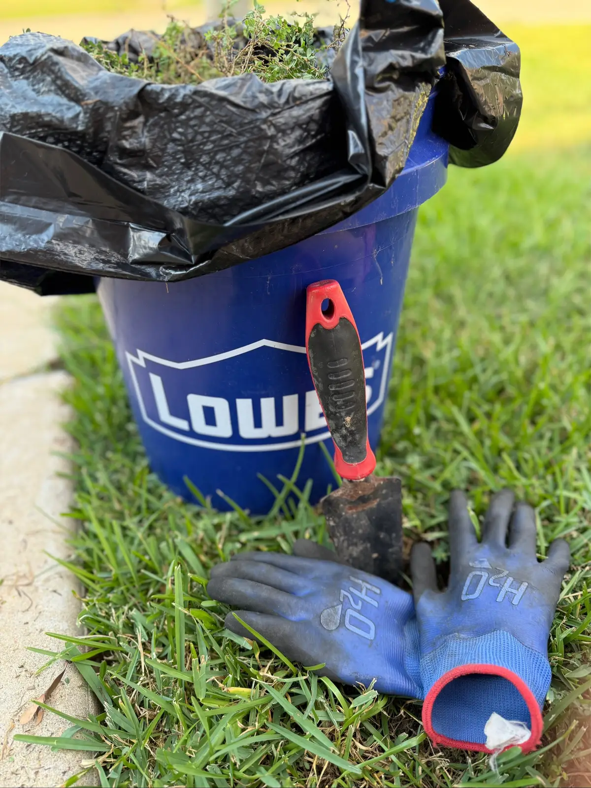 What’s in my playlist?? See for yourself. Weeding yard with some DMX vibes with  @Lowe’s . #gardening #sundays #weekendvibe #playlist #creator 