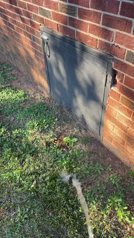 #sunday #southcarolina #funny #fyp #outside 