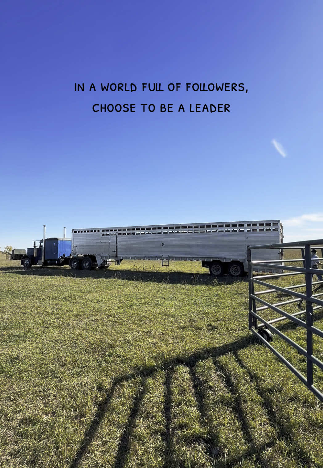 #401ranch #ranchlife #farmlife #cow #calves #ranching #fyp #forupage 