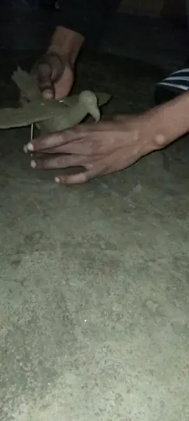 KIDS WANTED A A SCHOOL PROJECT SO I SAVED THEM LIVES POSTING THIS JUST TO SHOW Y'ALL THAT MOST OF art IS IN MY BLOOD 👌🔥🔥  SO THE KID WITH THIS ONE GOT ABOUT (40%) ❤️👌