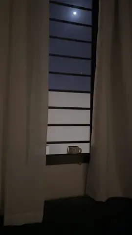 🤎