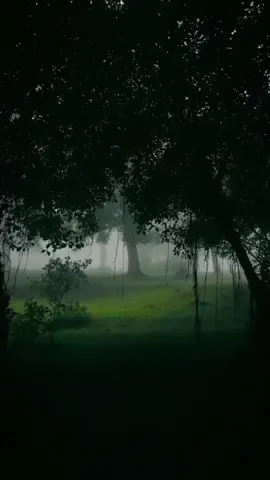 #vibesnaturals #relax #calm #vibes 