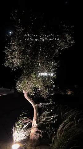 #تصويري 