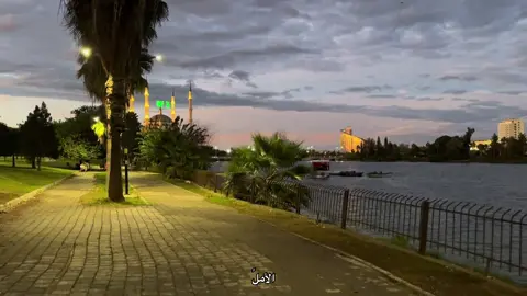 #الحياني 