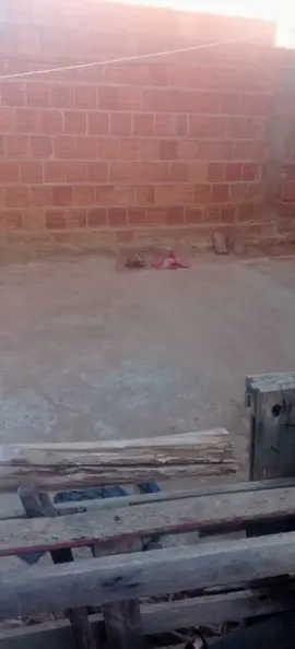 piruliru baby haha  piruliro baibi haha  piruliru baby haha piruliro beibi haha  #viral #foryoupage #paravoce #trend #musicaviral 