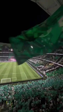 ‏اللهم ياكريم ارزق منتخبنا التأهل لكاس العالم ووفقهم في كاس العالم يارب🇸🇦🇸🇦🇸🇦🇸🇦#المنتخب #السعودية #اكسبلور 
