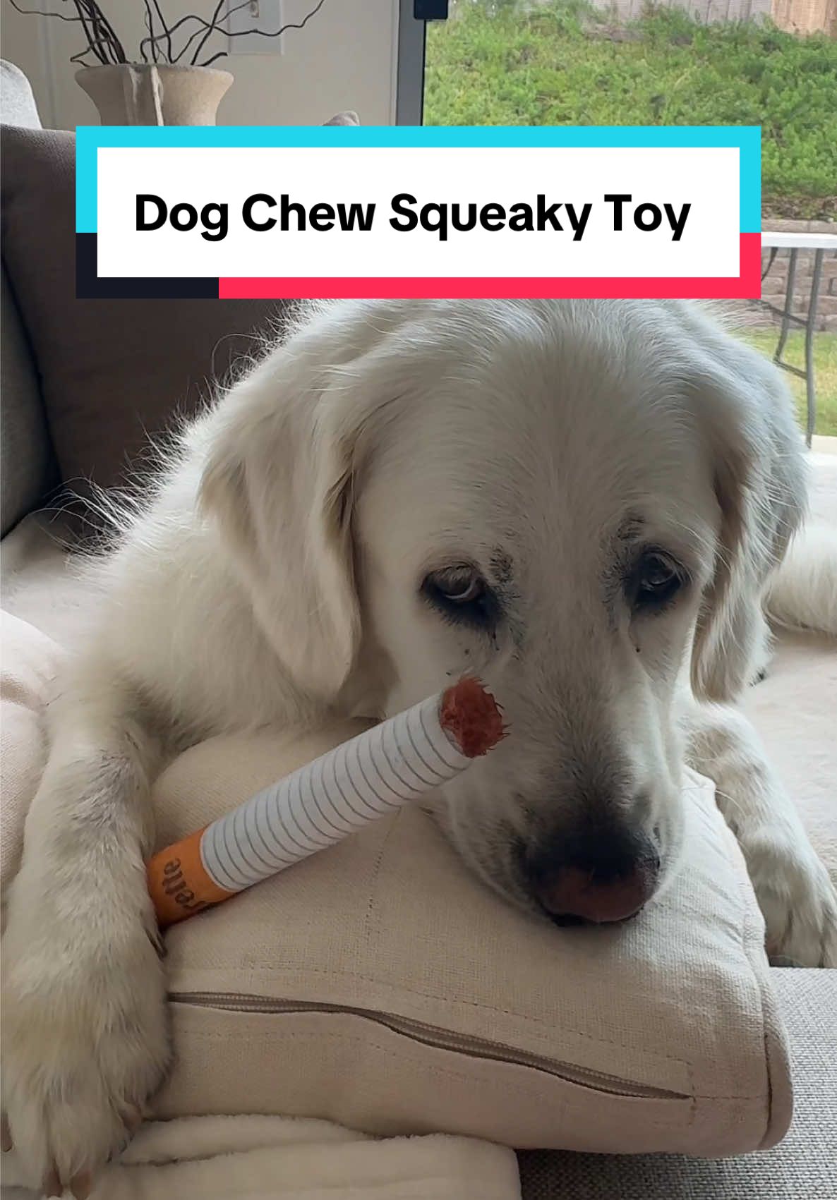 The funniest dog chew toy I’ve ever seen. And seeing my golden retriever getting it with her sad eyes..hilarious! If you’re a pet owner, this is essential and a must have 