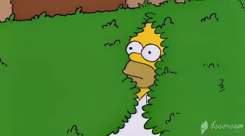 homer in the hedge