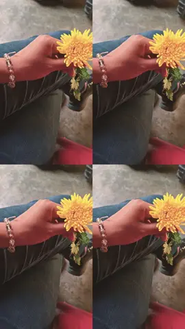 mi mami siempre  con sus detalles  💞🌸Te amo muchísimo mami 🌸💞🥰😍