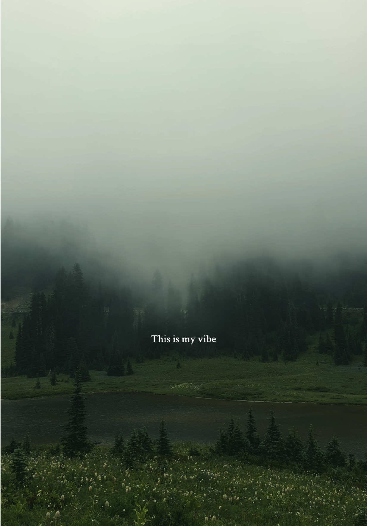 This is my vibe 🖤