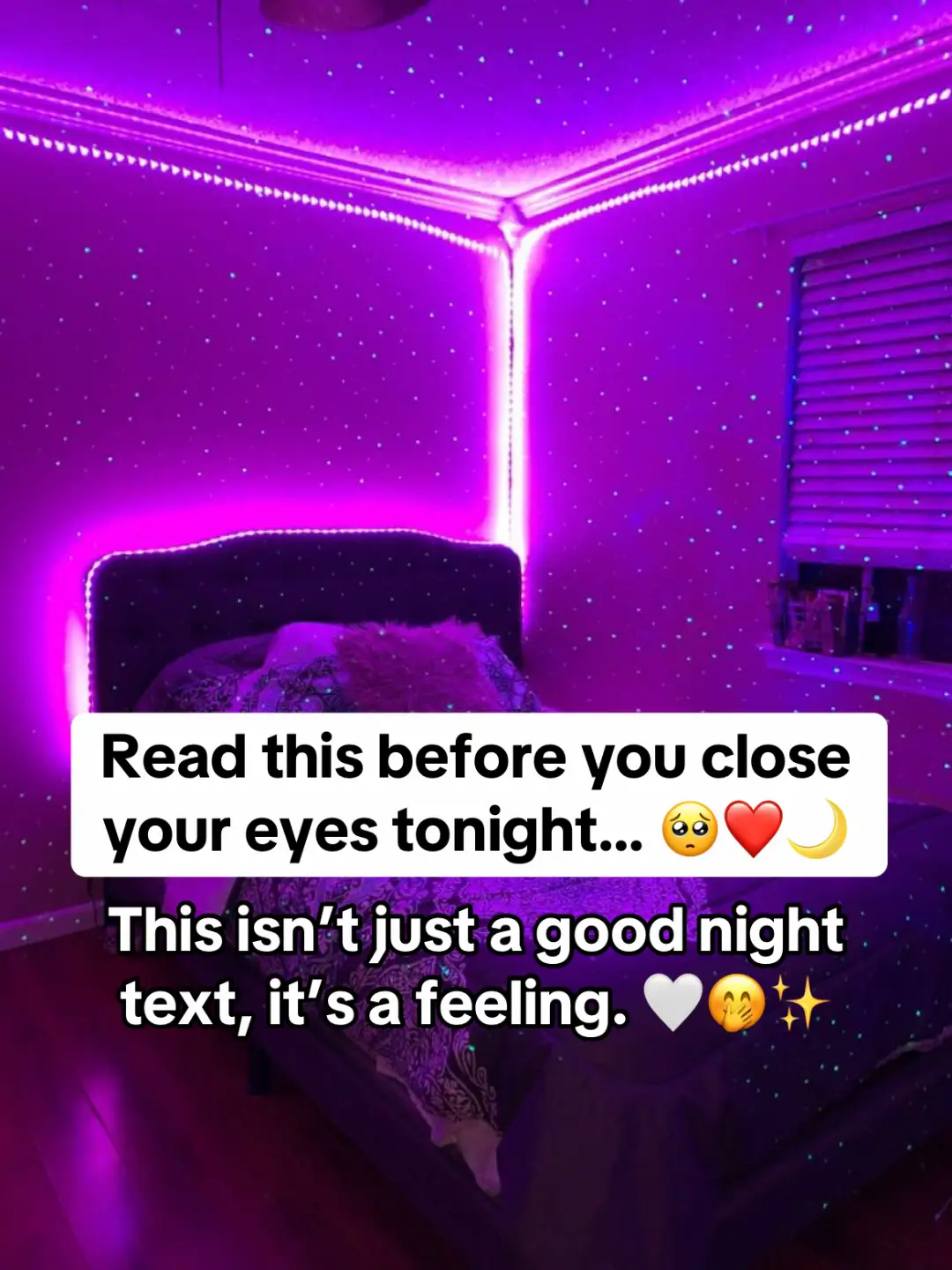 Good night 🌙💫 If only you knew how peaceful it feels to fall asleep knowing someone, somewhere, cares this deeply. Tonight, I hope your heart rests easy, your mind finds calm, and your soul feels loved, not because of words, but because you truly are. Close your eyes, and let the world fade… love is watching over you 🤍✨