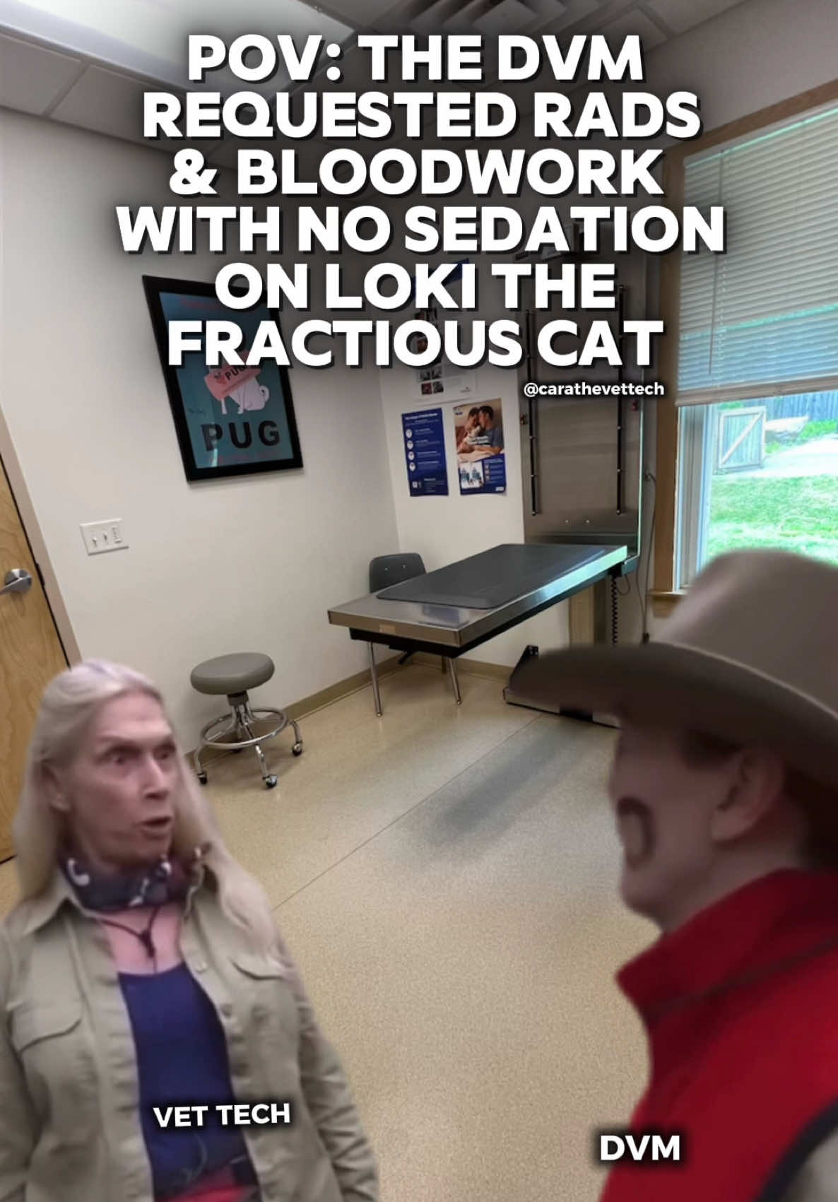 And there goes my life flashing before my eyes 😜  Can we have a day where the DVMs get to tech 😉 I think it would be a blastttt - jk but seriously pls don’t make me do that 🥹 #vettech #vetmed #vettechtok #cat #fyp 