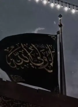 ياعليّٰ عليّٰ..📎#ياعلي #الحقيقة #ابوظبي #جونم_علي🍇 #ياباعبدالله_الحسين🥺💔 