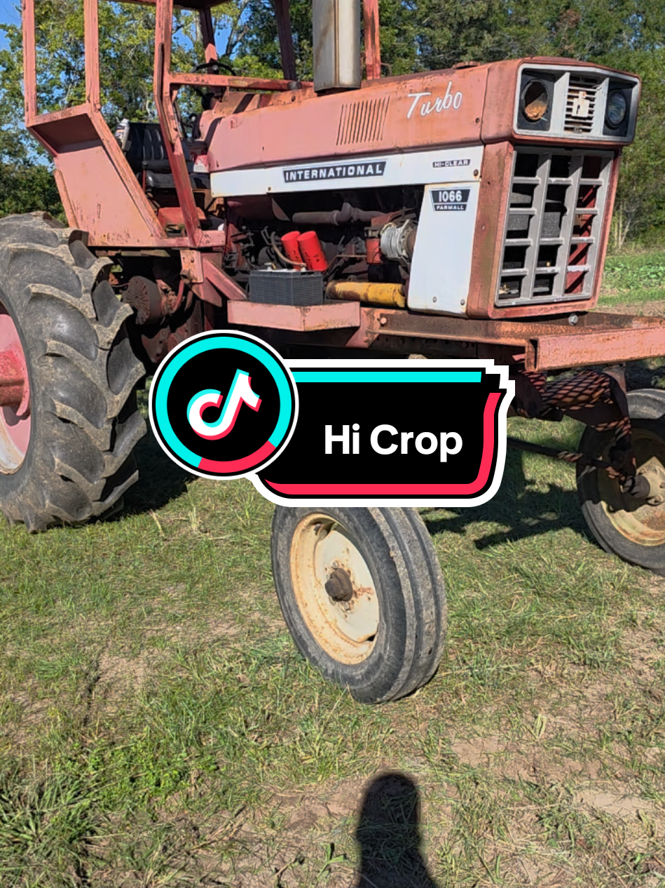 HiCrop International Farmall 1066 #alrightnah #BackyardFarming #International #Farmall 
