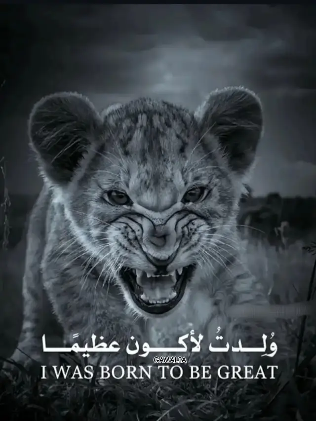 #الشعب_الصيني_ماله_حل😂😂 #foryou #foryoupage 