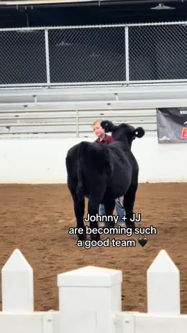 i love them both so much i could cry 😭🖤🤩 #farmlife #farmtok #agtok #farmwife #ranchlife #showsteer #showcalf #stockshowlife #stockshowdreamchasers #stockshowkid #boymom #momlife 