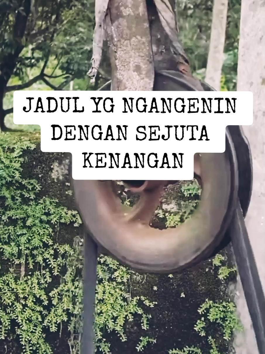 JADUL #kenanganindah #masalalu #kenangan #jadul 