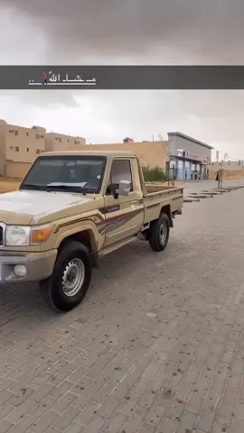 ودك يشرب سمن مهوب بنزين