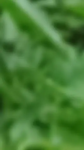 #الهم_صلي_على_محمد_وأل_محمد #الهم_صلي_على_محمد_وأل_محمد #الهم_صلي_على_محمد_وأل_محمد #LIVEIncentiveProgram #LIVECareer 