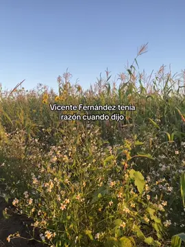 #pyf #visentefernandez #paratiiiiiiiiiiiiiiiiiiiiiiiiiiiiiii #videoviral 