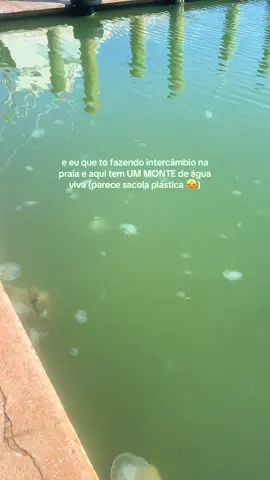 corta que eu tenho PAVOR #intercambio 