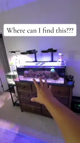 Where can I find something like this?! #fyp #aquarium #organization 