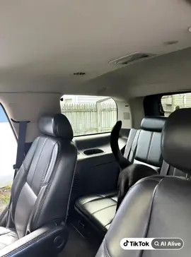 jajajaja cuando estás limpiando tu camioneta y te das cuenta que tienes un invitado adentro #fypシ#pantera#gato#foryoupage#parati