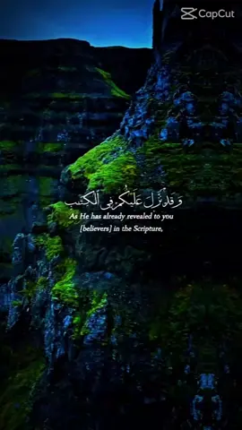 #القران_الكريم_راحه_نفسية😍🕋 #اكسبلووووورررر #متابعه #احبكم❤️❤️🌺🌺🌺🌹🌹🌹🌹 