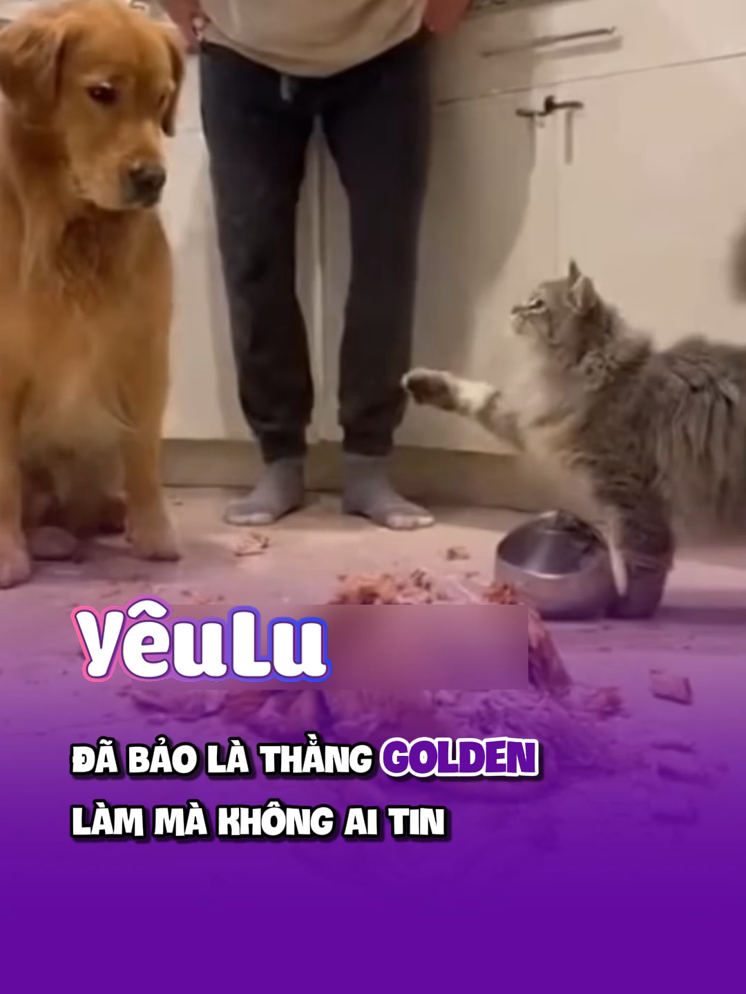 Nói mà hỏng ai tin 😂 #shorts #yeuluofficial