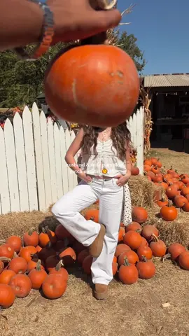 happy gilmore girls szn to all who celebrate !! ⋆🍂౨ৎ🧸˚₊ #husbandwife #pumpkinpatch #falloutfits #christianmarriage #jesuslovesyou 